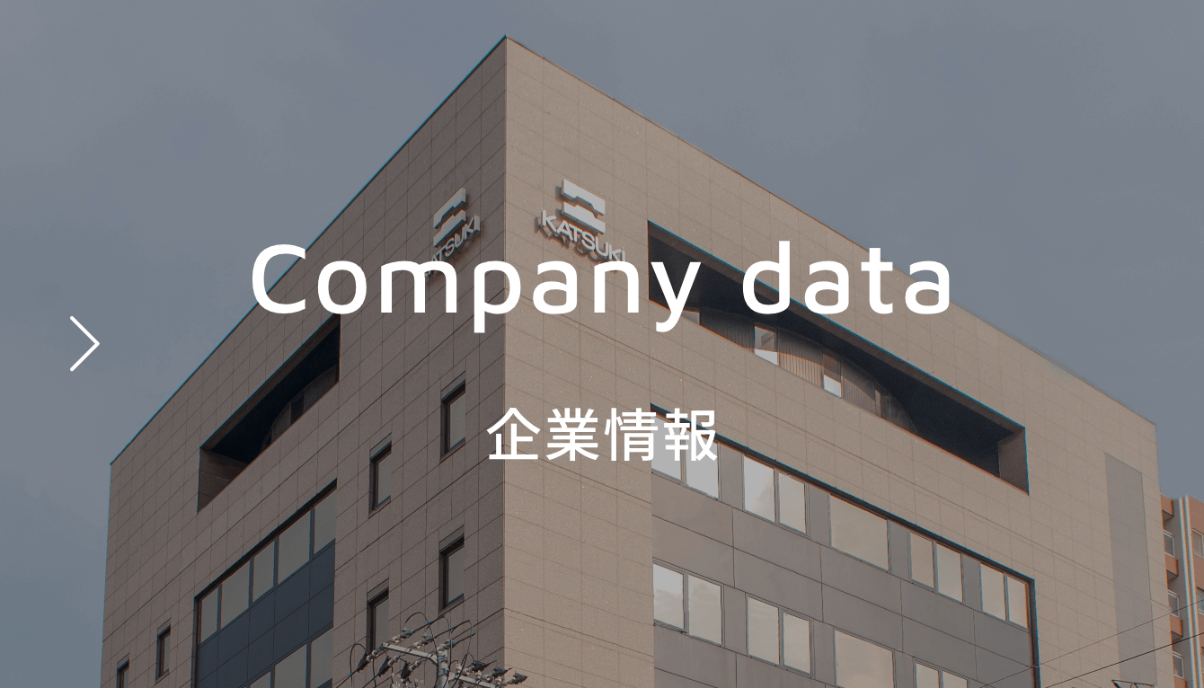Company data